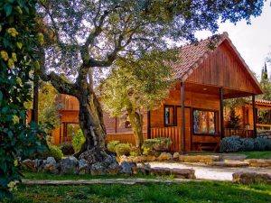 Camping Alquézar, Alquézar Aventura