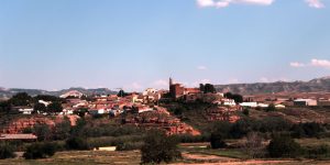 Botorrita