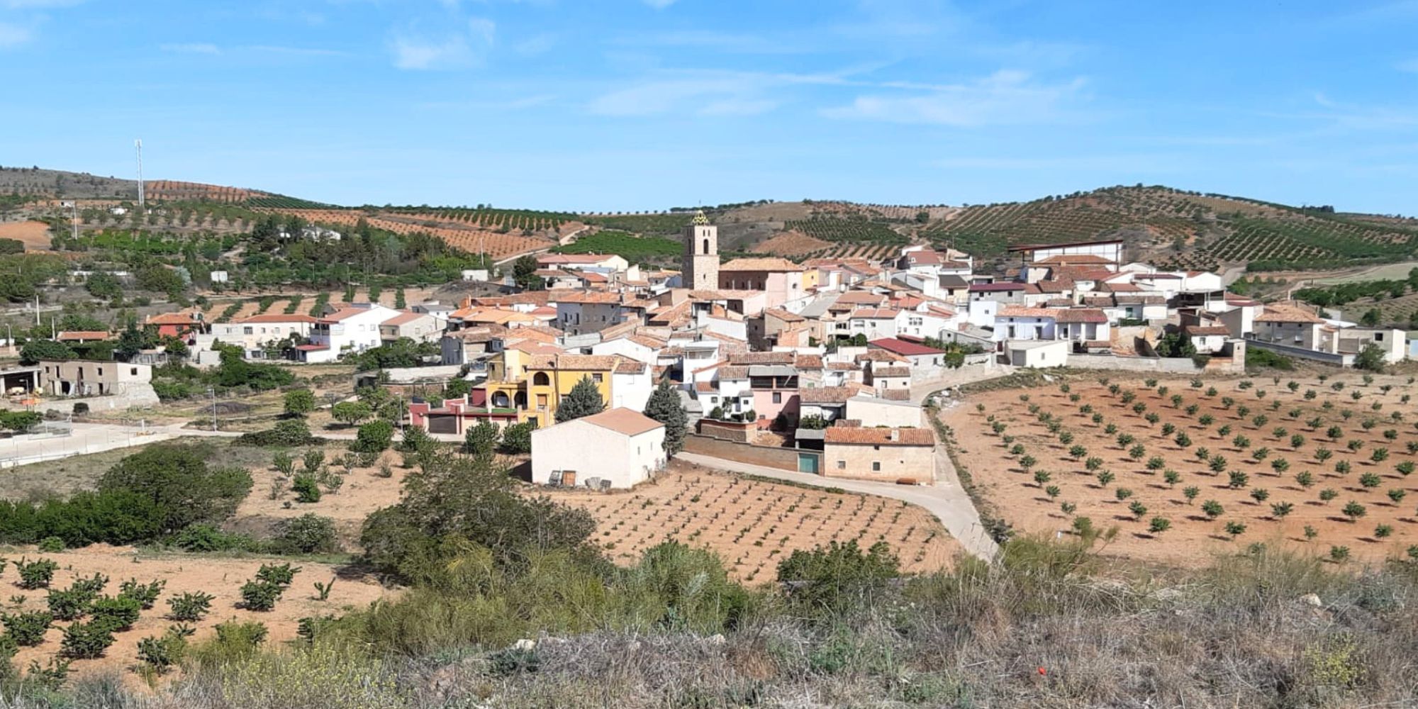 ALARBA