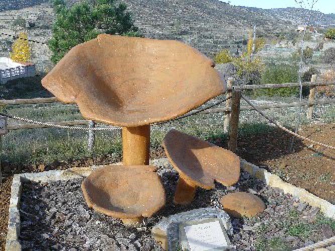 Parque Micológico Nogueruelas