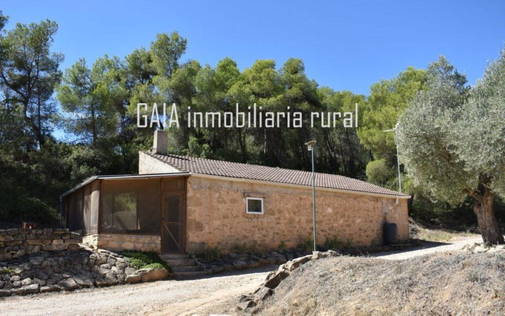 Gaia Inmobiliaria Rural