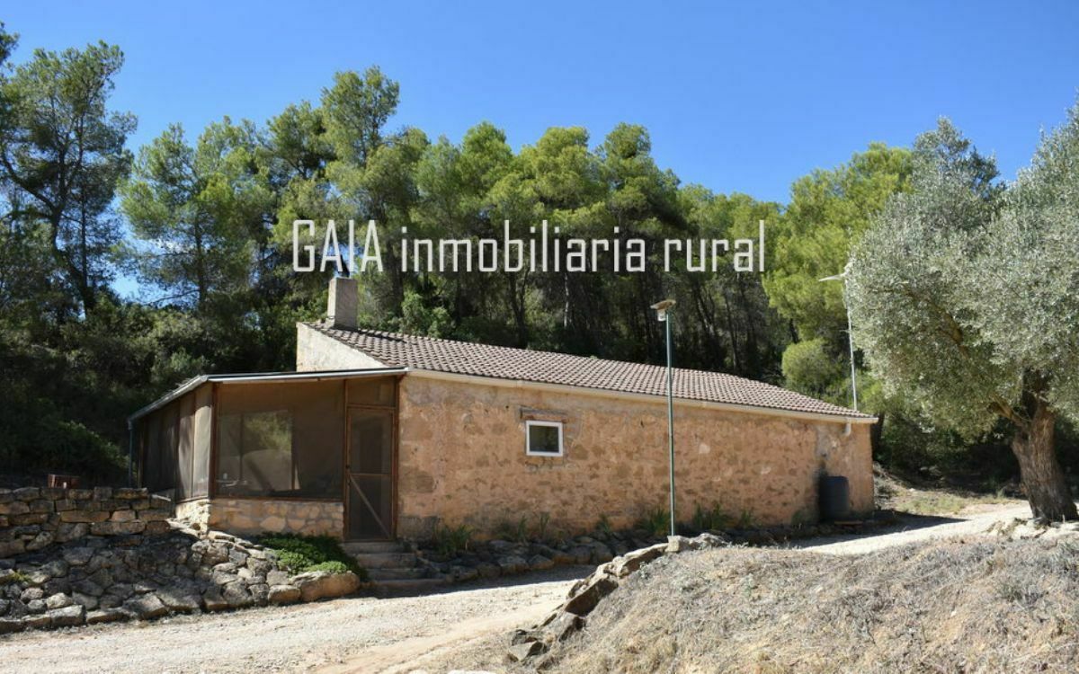 Gaia Inmobiliaria Rural