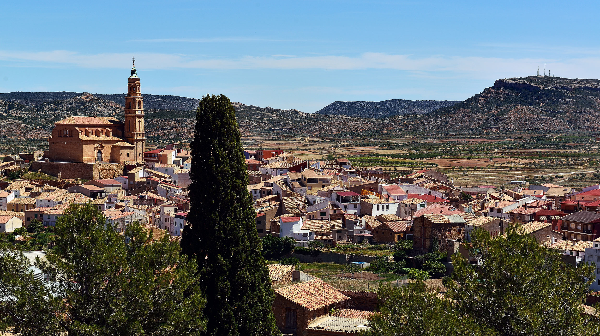 Alloza