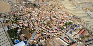 Monegrillo