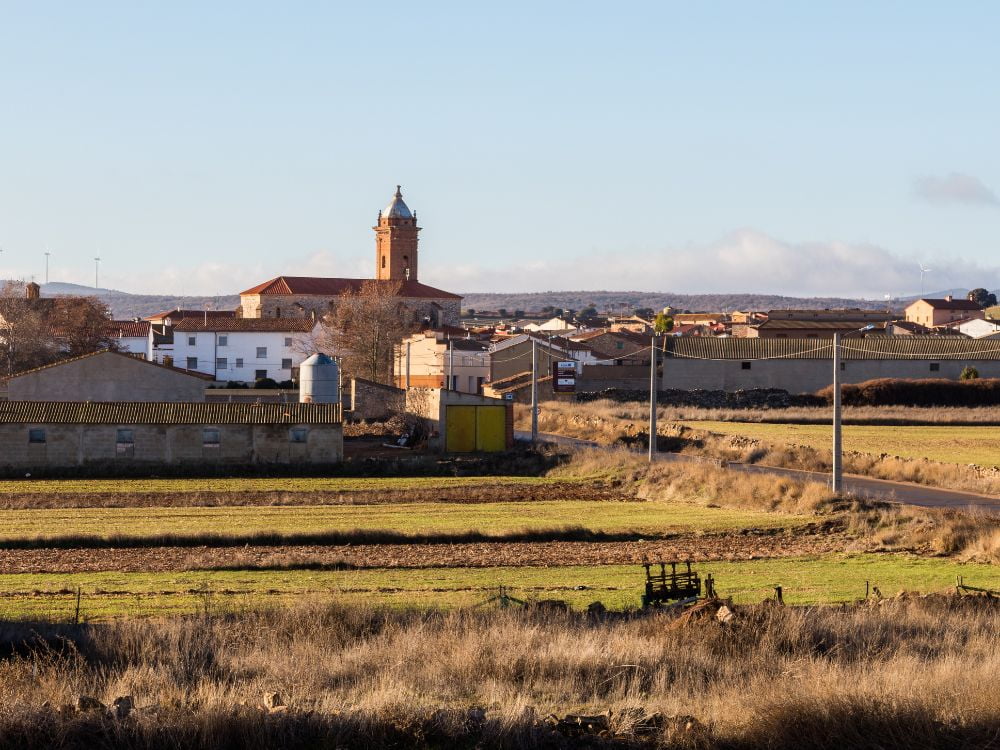 Odón