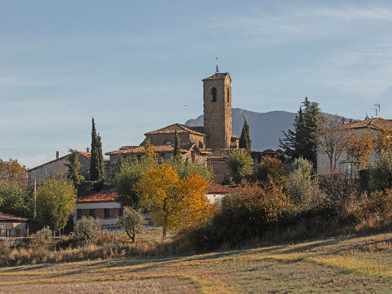 Bailo