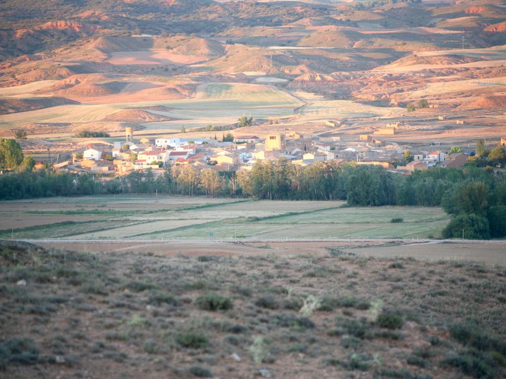 Pozuel de Ariza