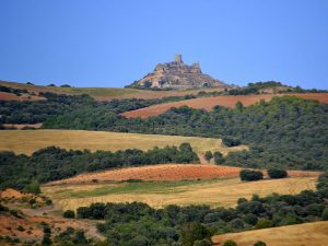 Viacamp y Litera