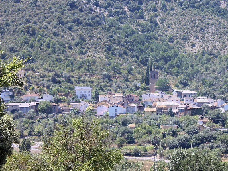 palo