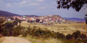 Bronchales