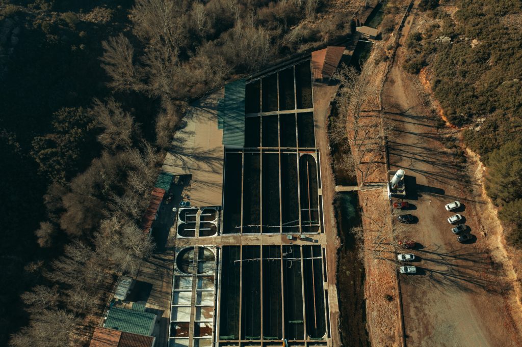 Esturión de Sarrión