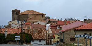 Moscardón