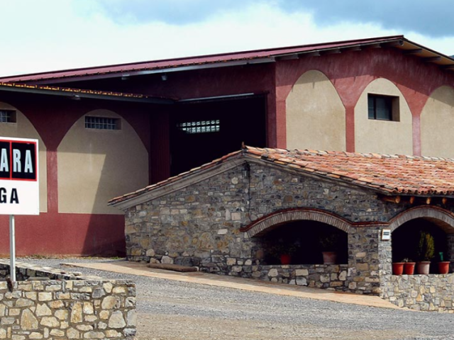 BODEGA ALDAHARA