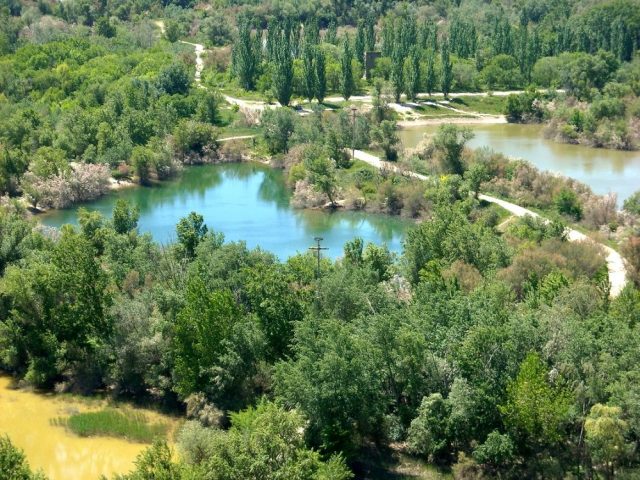 Galacho de Juslibol en otoño: descubre un rincón natural junto a Zaragoza